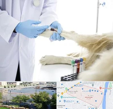 آزمایشگاه حیوانات در گلستان اهواز