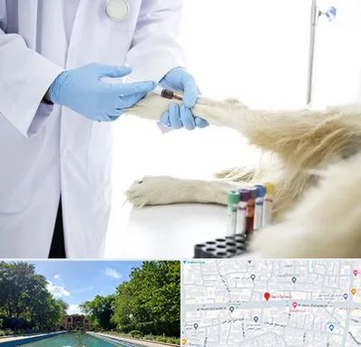 آزمایشگاه حیوانات در هشت بهشت اصفهان