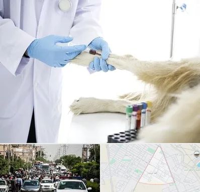 آزمایشگاه حیوانات در سیدی مشهد