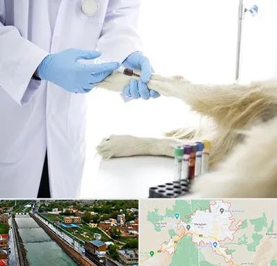 آزمایشگاه حیوانات در مراغه