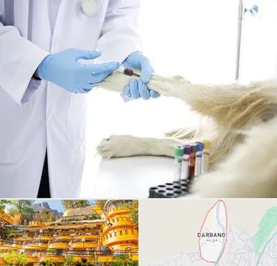 آزمایشگاه حیوانات در دربند