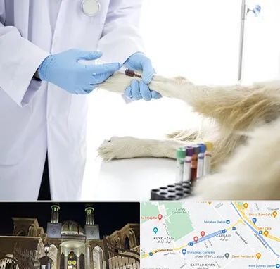 آزمایشگاه حیوانات در زرگری شیراز