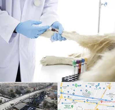 آزمایشگاه حیوانات در فرجام