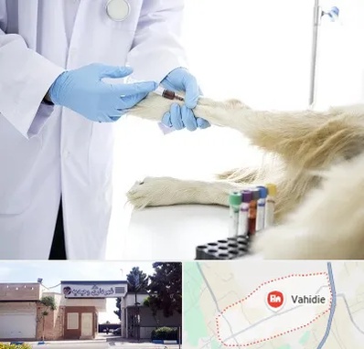 آزمایشگاه حیوانات در وحیدیه شهریار
