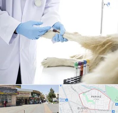 آزمایشگاه حیوانات در پرواز تبریز