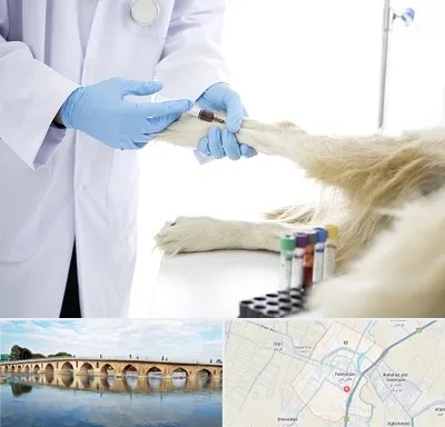 آزمایشگاه حیوانات در فلاورجان