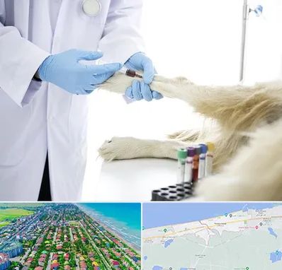 آزمایشگاه حیوانات در فریدونکنار