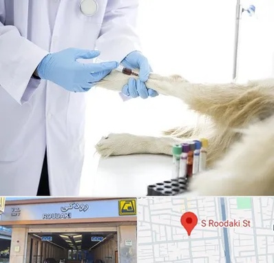 آزمایشگاه حیوانات در رودکی