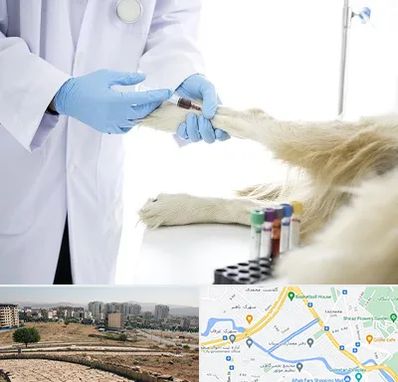 آزمایشگاه حیوانات در کوی وحدت شیراز