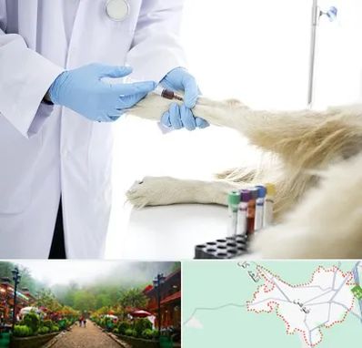 آزمایشگاه حیوانات در فومن