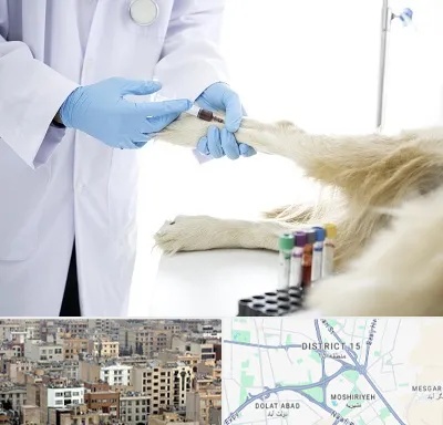 آزمایشگاه حیوانات در جنوب شرق تهران