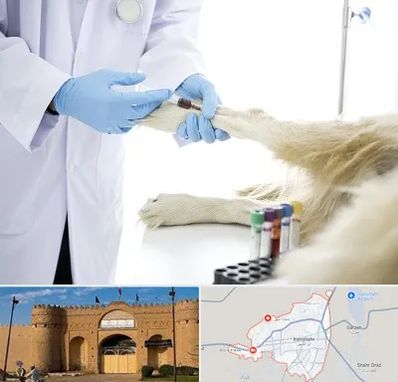 آزمایشگاه حیوانات در ایرانشهر