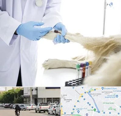 آزمایشگاه حیوانات در قدوسی شرقی شیراز