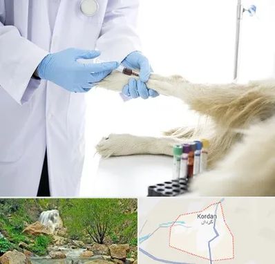 آزمایشگاه حیوانات در کردان