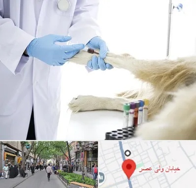 آزمایشگاه حیوانات در ولیعصر شهریار