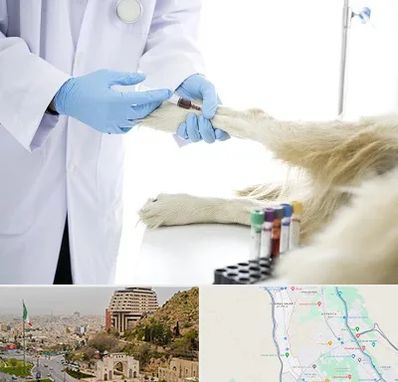 آزمایشگاه حیوانات در فرهنگ شهر شیراز