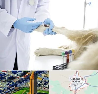 آزمایشگاه حیوانات در گنبد کاووس