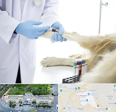 آزمایشگاه حیوانات در نسیم شهر