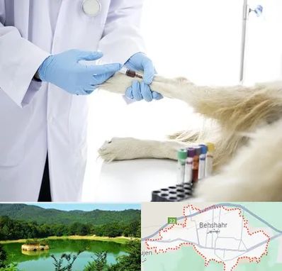 آزمایشگاه حیوانات در بهشهر