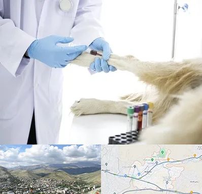 آزمایشگاه حیوانات در رودهن