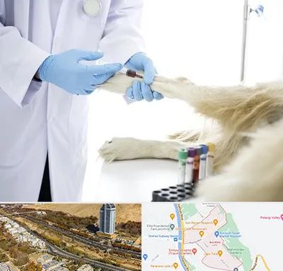 آزمایشگاه حیوانات در خیابان نیایش شیراز