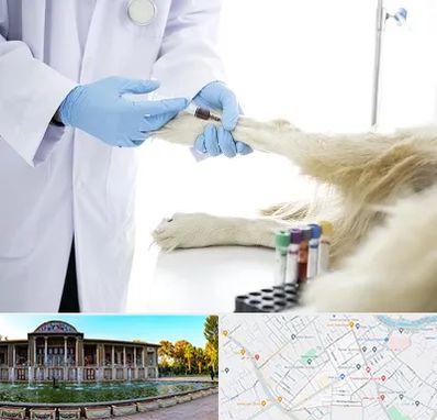 آزمایشگاه حیوانات در عفیف آباد شیراز