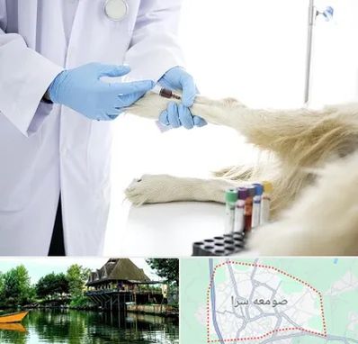 آزمایشگاه حیوانات در صومعه سرا