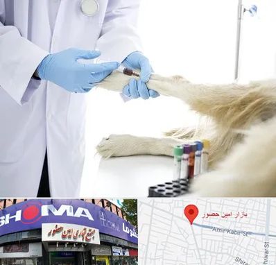 آزمایشگاه حیوانات در امین حضور