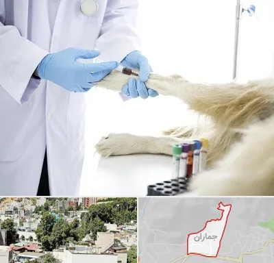 آزمایشگاه حیوانات در جماران
