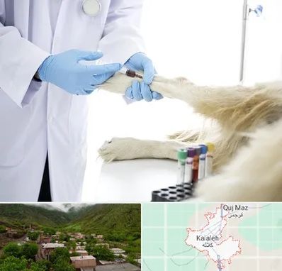 آزمایشگاه حیوانات در کلاله