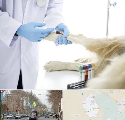 آزمایشگاه حیوانات در نظرآباد کرج