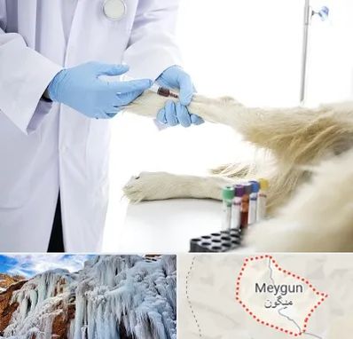 آزمایشگاه حیوانات در میگون