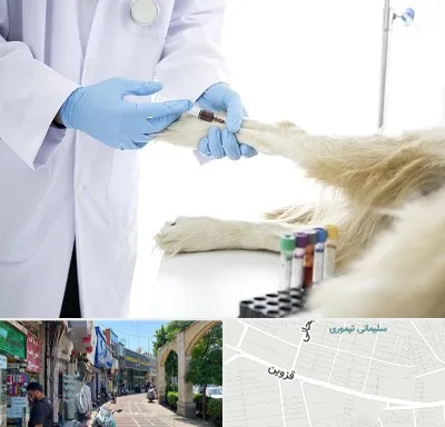 آزمایشگاه حیوانات در خیابان قزوین