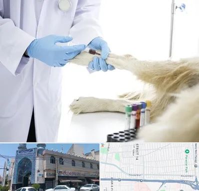 آزمایشگاه حیوانات در بلوار ابوذر