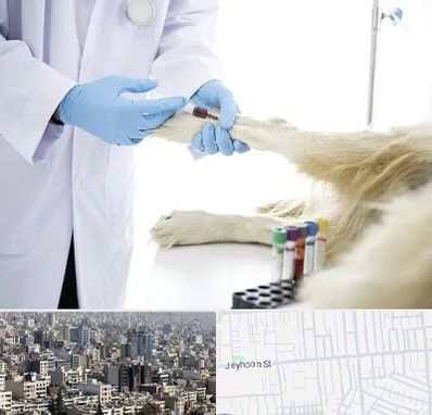 آزمایشگاه حیوانات در جیحون