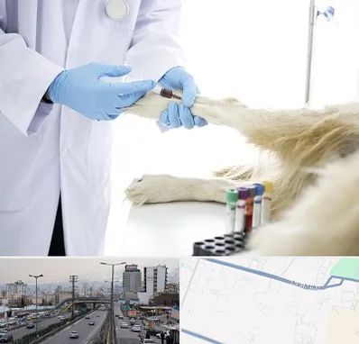 آزمایشگاه حیوانات در بلوار ارتش