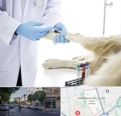 آزمایشگاه حیوانات در شهرک ولیعصر