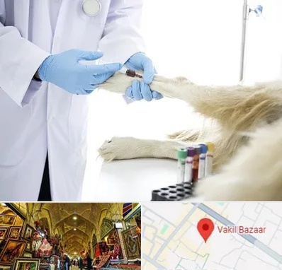 آزمایشگاه حیوانات در بازار وکیل شیراز