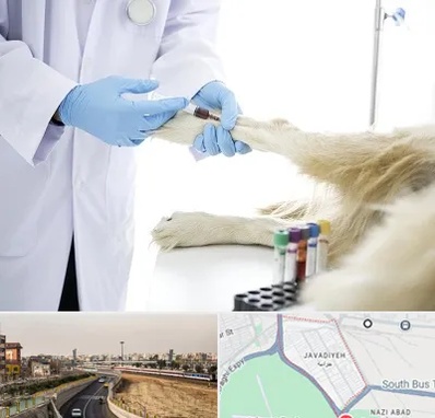 آزمایشگاه حیوانات در جوادیه