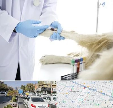 آزمایشگاه حیوانات در مفتح مشهد