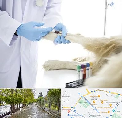 آزمایشگاه حیوانات در خیابان ارم شیراز