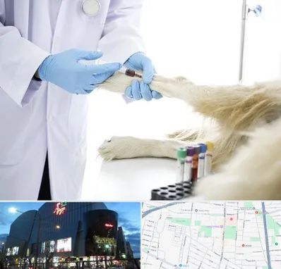 آزمایشگاه حیوانات در بلوار اباذر