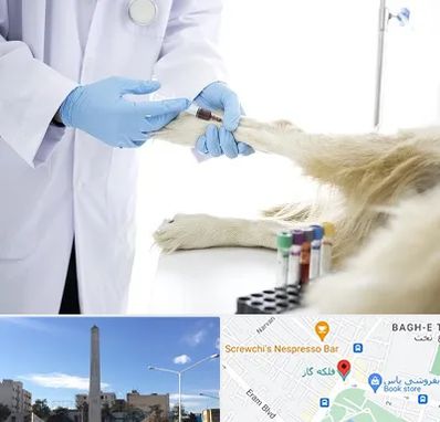 آزمایشگاه حیوانات در فلکه گاز شیراز