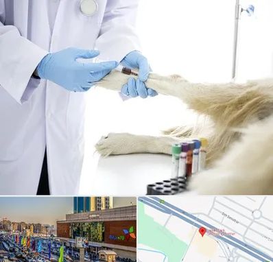 آزمایشگاه حیوانات در لاله پارک تبریز