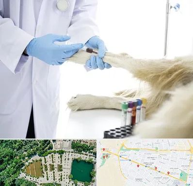 آزمایشگاه حیوانات در وکیل آباد مشهد