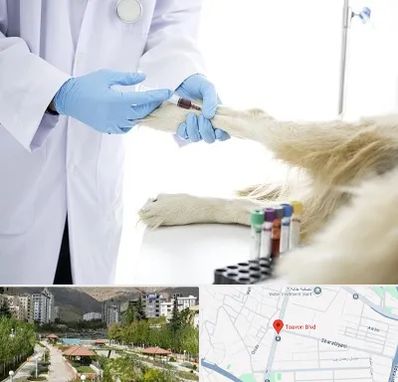 آزمایشگاه حیوانات در بلوار تعاون