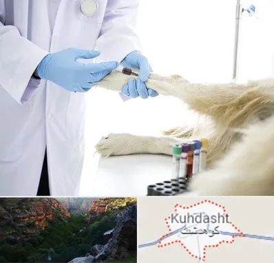 آزمایشگاه حیوانات در کوهدشت