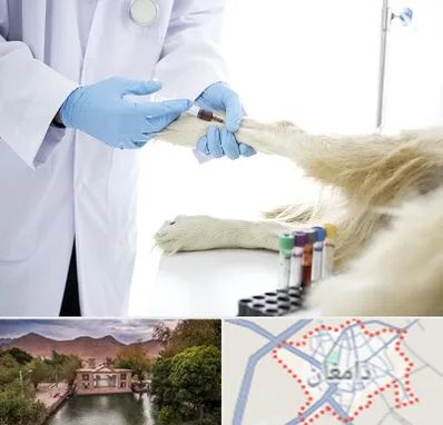 آزمایشگاه حیوانات در دامغان