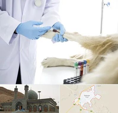 آزمایشگاه حیوانات در شهرضا