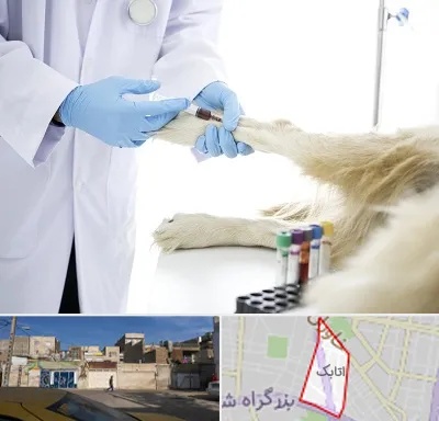 آزمایشگاه حیوانات در اتابک